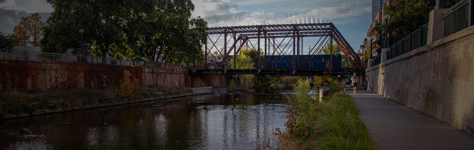 Delgany Bridge. Diane Huntress